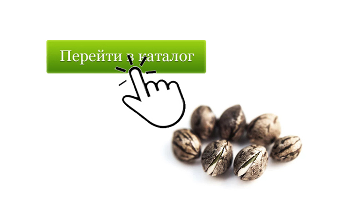 Описание баннера