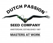 Производители - Dutch Passion