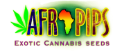 Производители - Afropips Seeds