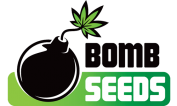 Производители - Bomb Seeds